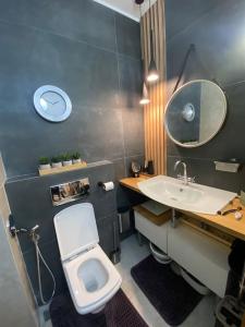 班斯科Cozy mountain apartament near the Gondola lift的一间带卫生间、水槽和镜子的浴室
