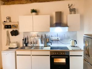 斯图林根PEARLs - Stilvolle Wohnung zwischen dem Schwarzwald & der Schweiz的厨房配有水槽和炉灶 顶部烤箱