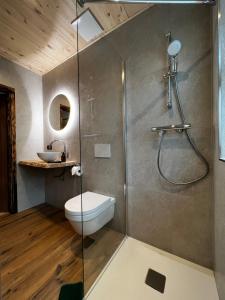 马尔尼茨Mallnbach Apartments的带淋浴、卫生间和盥洗盆的浴室