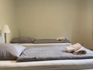 杜塞尔多夫杜塞城市公寓的两张床铺,上面有毛巾