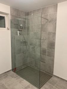 欧德扎奥森Apartment „Am Südhang“的浴室内带玻璃门的淋浴间