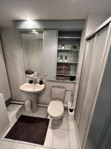 斯特拉斯堡ZEN-ITUDE的一间带卫生间和水槽的小浴室