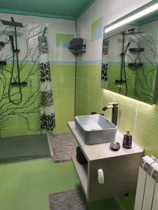 莱斯诺夫Casa Doina的绿色浴室设有水槽和镜子