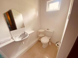 拉戈莱特El Paraiso的一间带卫生间、水槽和镜子的浴室