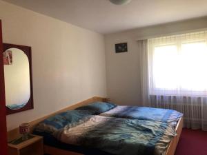 萨斯费Near ski slopes 2 bedrooms apartment with balcony的一间卧室配有一张床、镜子和窗户