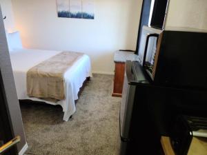 瓦莱070A Large Studio with Kitchenette near South Rim, Accommodates 4的配有一张床和一台平面电视的酒店客房