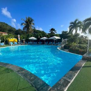 圣安娜Studio La «KAZ’ À COCO» Anse Caritan的一个种有棕榈树的大型蓝色游泳池