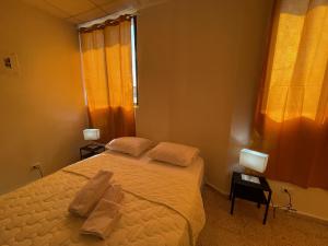圣多明各Hotel Colonial Blanco的一间卧室配有一张床,上面有两条毛巾