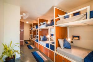 安君纳Shalom Backpackers Anjuna Goa的宿舍间配有双层床。