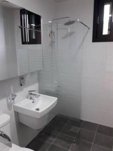 济州市Sogobe Jeju House的白色的浴室设有水槽和淋浴。