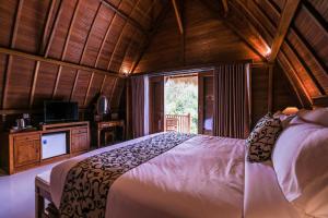珀尼达岛BB Resort Villa and Spa的一间卧室配有一张大床和电视