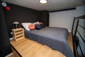 弗罗茨瓦夫Studia przy lotnisku od WroclawApartament-pl的一间卧室配有带枕头的床