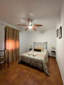 马尔莫莱霍La Casa del Abuelo Jose的一间卧室配有一张床和吊扇