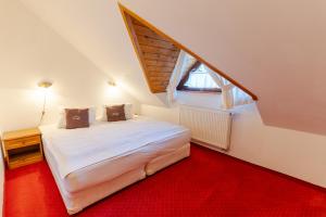 利托斯基简斯特拉尚夫卡让斯卡考利巴酒店的一间卧室配有一张大床,铺有红地毯