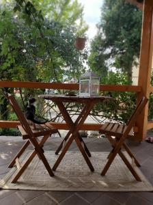 大毛罗什Málnafröccs Vendégház Nagymaros的木餐桌,猫坐在秋千上