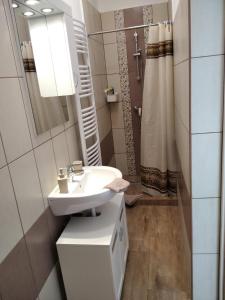 塔塔EszE Vendégszoba的白色的浴室设有水槽和淋浴。