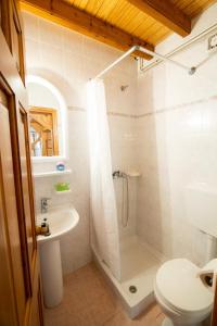 波尔塔里亚Chrysanthe [ Portaria ] Traditional Pelion House的带淋浴、卫生间和盥洗盆的浴室