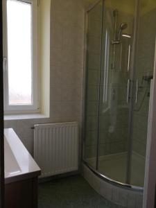 玛利亚采尔Ferienwohnung Schuhhaus Ganster的带淋浴的浴室和玻璃门