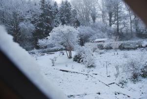 Hopton CangefordThe Hen Den的享有带树木的雪地景致