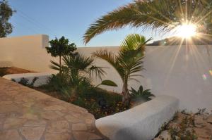 莫哈卡尔Mojacar Apartment Near the Beach with Private Pool的一座种有棕榈树和白色墙壁的花园