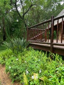 雾观Kruger Park Lodge, Kubu Lodge 224的一座木桥,在花园中,种有植物