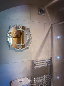 Llanrhaeadr-ym-MochnantPanteg的浴室墙上设有镜子