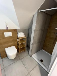 波切尼斯Ubytovanie MARINEL的一间带卫生间和淋浴的浴室