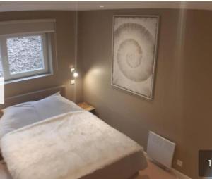马尔梅迪Terrasses de Malmedy Lodge 417的一间卧室设有一张床和一个窗口