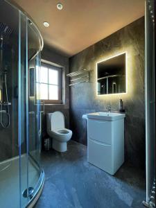 斯特兰福德Lough Rooms at The Artisan的浴室配有卫生间、盥洗盆和淋浴。