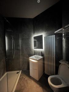 斯特兰福德Lough Rooms at The Artisan的一间带水槽、淋浴和卫生间的浴室