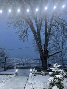 安布罗劳里View Racha的雪上有灯的树