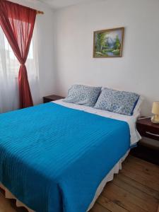 巴伊亚英格莱萨Cabañas Aquila D'Arroscia的一间卧室配有一张带蓝色床单的床和一扇窗户。