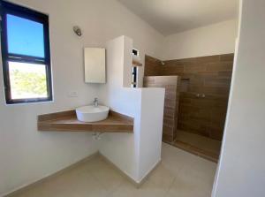 La Ventana帕拉伊索别墅酒店的一间带水槽和淋浴的浴室