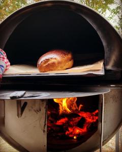 NistelrodeKampeerbeleving Dijksehoeve的面包正在烤箱里煮熟