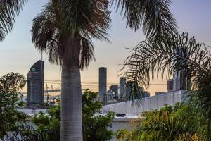 布里斯班Classic Brisbane Queenslander with Pool & Yard的城市天际线前的棕榈树