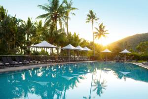 汉密尔顿岛珊瑚景酒店的一个带椅子和遮阳伞的游泳池以及棕榈树