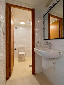 梅尔祖卡Hotel Apartments Lexpert的一间带水槽和卫生间的浴室