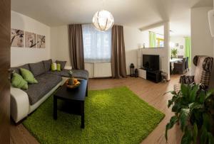 蓬高圣约翰Appartements Haidl的带沙发和绿色地毯的客厅