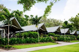 汉密尔顿岛棕榈简易别墅酒店的一排有屋顶的房屋