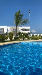 阿卡普尔科Hermosa casa en Acapulco con club de Playa.的一个大型蓝色游泳池,后面有棕榈树