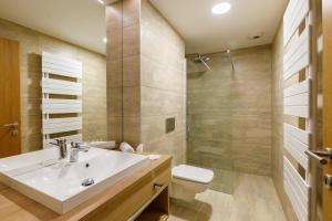 维斯普雷姆西斯托马洛科特酒店的一间带水槽、卫生间和淋浴的浴室
