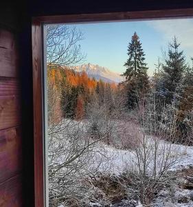 Spišské BystréLietadlo v lese的享有雪地覆盖的树木美景的窗户