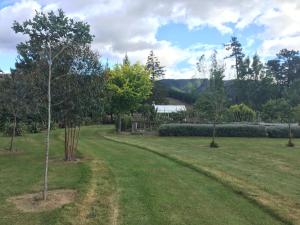 Wairau ValleyBirch Hill Cottage -30 minutes from St Arnaud的草场中间的树
