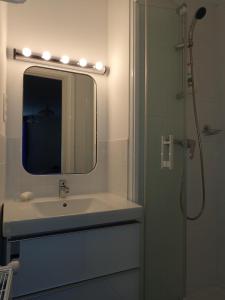 戴伊劳伦贝赛特住宿加早餐旅馆的一间带水槽、镜子和淋浴的浴室