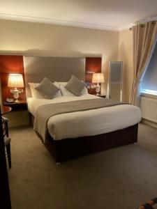 拉辛赫三叶草酒店的酒店客房设有一张大床和两盏灯。