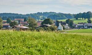 菲施巴豪Hof Hauserbichl的一片草场和房屋的小城镇