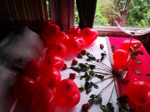 塞罗阿苏尔Mandalas Ecolodge的窗边桌子上一束红心