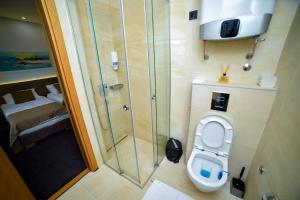 兹拉蒂博尔Apartman Milinović Zlatibor - Hotel Alibi的一间带卫生间和淋浴的小浴室