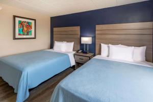 拉雷多Baymont by Wyndham Laredo的两张位于酒店客房的床,拥有蓝色的墙壁