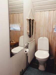 阿克拉内斯Bard Cottage的一间带卫生间和镜子的浴室